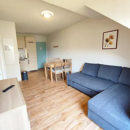 アパート Le Flocon, T2, Wifi, Vue Montagne, Parking Gratuit, Ascenseur, 4 Personnes